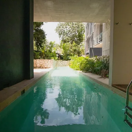 Depto De Lujo Con Plunge Pool Privada Apartment